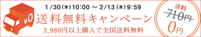 送料無料キャンペーン